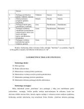 Verslo planas: kompiuterinė svetainė IĮ "Interfanas" 11 puslapis