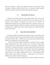 Verslo planas: kompiuterinė svetainė IĮ "Interfanas" 12 puslapis