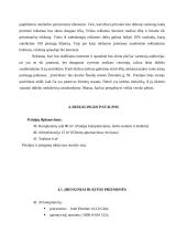 Verslo planas: kompiuterinė svetainė IĮ "Interfanas" 13 puslapis