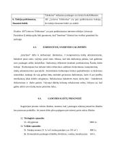 Verslo planas: kompiuterinė svetainė IĮ "Interfanas" 16 puslapis