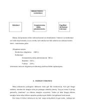 Verslo planas: kompiuterinė svetainė IĮ "Interfanas" 18 puslapis