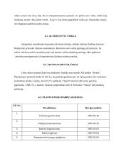 Verslo planas: kompiuterinė svetainė IĮ "Interfanas" 19 puslapis