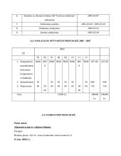 Verslo planas: kompiuterinė svetainė IĮ "Interfanas" 20 puslapis