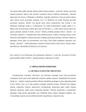 Verslo planas: kompiuterinė svetainė IĮ "Interfanas" 4 puslapis