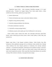 Verslo planas: kompiuterinė svetainė IĮ "Interfanas" 5 puslapis