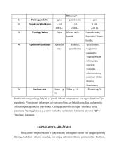 Verslo planas: kompiuterinė svetainė IĮ "Interfanas" 7 puslapis