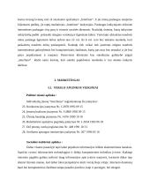 Verslo planas: kompiuterinė svetainė IĮ "Interfanas" 8 puslapis