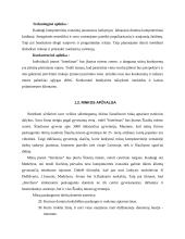 Verslo planas: kompiuterinė svetainė IĮ "Interfanas" 9 puslapis