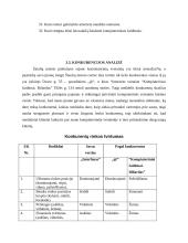 Verslo planas: kompiuterinė svetainė IĮ "Interfanas" 10 puslapis