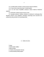 Verslo planas: telekomunikacijų parduotuvė UAB "Atatus" 10 puslapis