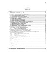 Lietuvos futbolo "A" lygos klubų palaikymo komandų veikla 2 puslapis