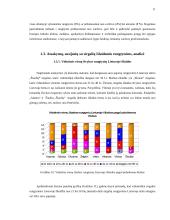 Lietuvos futbolo "A" lygos klubų palaikymo komandų veikla 11 puslapis