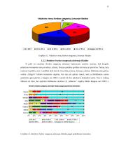 Lietuvos futbolo "A" lygos klubų palaikymo komandų veikla 12 puslapis