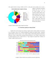 Lietuvos futbolo "A" lygos klubų palaikymo komandų veikla 13 puslapis