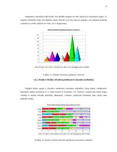 Lietuvos futbolo "A" lygos klubų palaikymo komandų veikla 14 puslapis