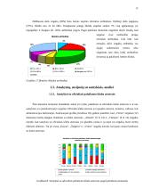 Lietuvos futbolo "A" lygos klubų palaikymo komandų veikla 15 puslapis
