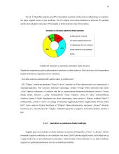 Lietuvos futbolo "A" lygos klubų palaikymo komandų veikla 16 puslapis
