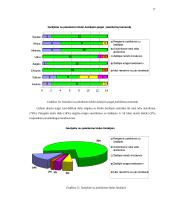 Lietuvos futbolo "A" lygos klubų palaikymo komandų veikla 17 puslapis