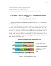 Lietuvos futbolo "A" lygos klubų palaikymo komandų veikla 20 puslapis