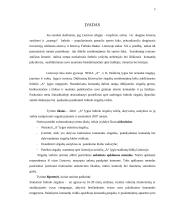 Lietuvos futbolo "A" lygos klubų palaikymo komandų veikla 3 puslapis