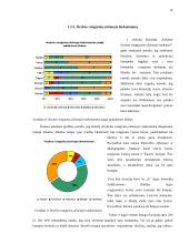 Lietuvos futbolo "A" lygos klubų palaikymo komandų veikla 10 puslapis