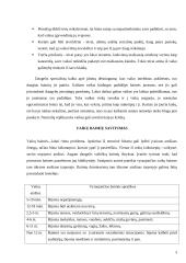 Vaiko baimės 3 puslapis