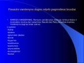 Pasaulio vandenynai 11 puslapis