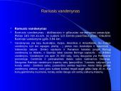 Pasaulio vandenynai 7 puslapis