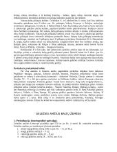 Ankstyvasis geležies amžius baltų žemėse 2 puslapis