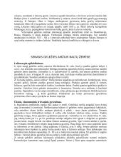 Ankstyvasis geležies amžius baltų žemėse 4 puslapis