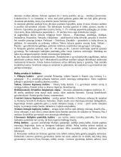 Ankstyvasis geležies amžius baltų žemėse 5 puslapis