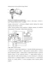 Benzino centrinio įpurškimo sistemos 3 puslapis