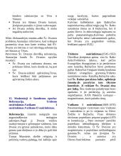 Dogminės teologijos teorija 5 puslapis