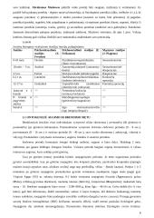 Individualus organizmo vystymasis (ontogenezė). Organizmo vystymosi amžiniai periodai 5 puslapis