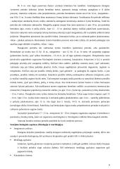 Individualus organizmo vystymasis (ontogenezė). Organizmo vystymosi amžiniai periodai 7 puslapis