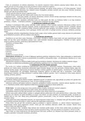 Pasiruošimas komercinės teisės teorija 11 puslapis