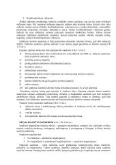 Verslo teisė ir sandoriai 2 puslapis