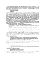 Verslo teisė ir sandoriai 15 puslapis