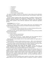 Verslo teisė ir sandoriai 17 puslapis