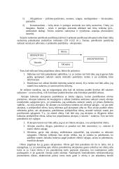 Verslo teisė ir sandoriai 6 puslapis