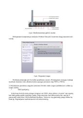 Bevielių (WLAN) tinklų saugos užtikrinimas 5 puslapis
