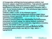 Daugiakampiai matematikoje 15 puslapis