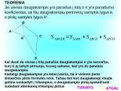 Daugiakampiai matematikoje 8 puslapis