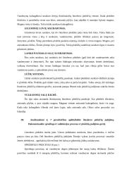 Geomorfologija 3 puslapis