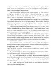 Geomorfologija 4 puslapis