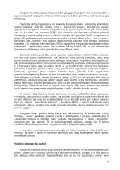 Honeynet projektas 5 puslapis