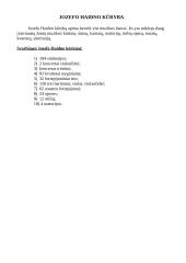 Jozefas Haidnas 6 puslapis