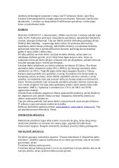 Latvijos prezidentinė respublika 2 puslapis