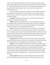 Mėsa ir mėsos gaminiai 13 puslapis