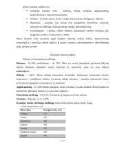Mėsa ir mėsos gaminiai 4 puslapis